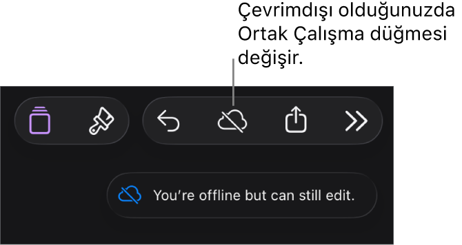 Ekranın en üstündeki düğmeler; Ortak Çalışma düğmesi, üzerinde çapraz bir çizgi olan bir buluta değişmiş. Ekrandaki bir uyarı “Çevrimdışısınız ama yine de düzenleyebilirsiniz” der.