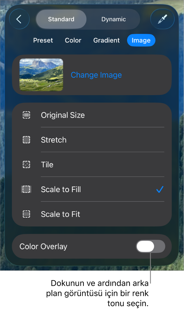Arka Plan denetimleri, slayt arka planı olarak ayarlanmış bir görüntü ve en alttaki Renk Kaplama ile.