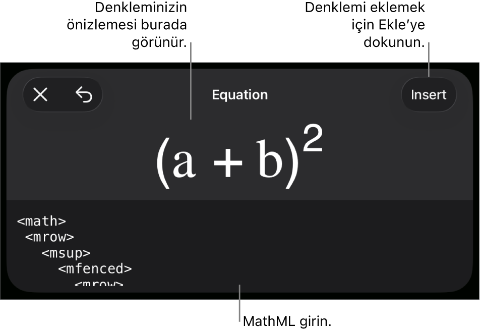 MathML komutları kullanılarak yazılmış bir denklemi ve onun üstünde formülün önizlemesini gösteren Denklem sorgu kutusu.
