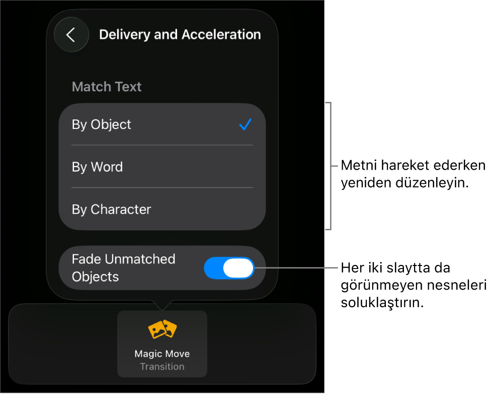 Hızlandırma bölümündeki Sihirli Taşıma gönderim ve hızlandırma seçenekleri.