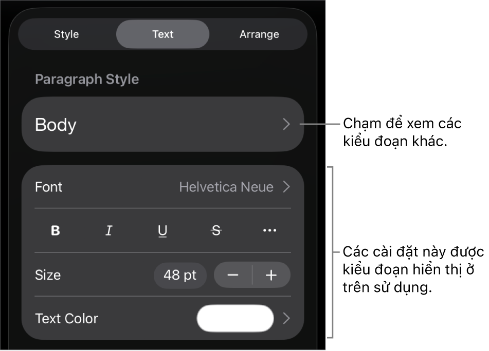 Menu Định dạng đang hiển thị các điều khiển văn bản để đặt kiểu, phông chữ, kích cỡ và màu của đoạn và ký tự.