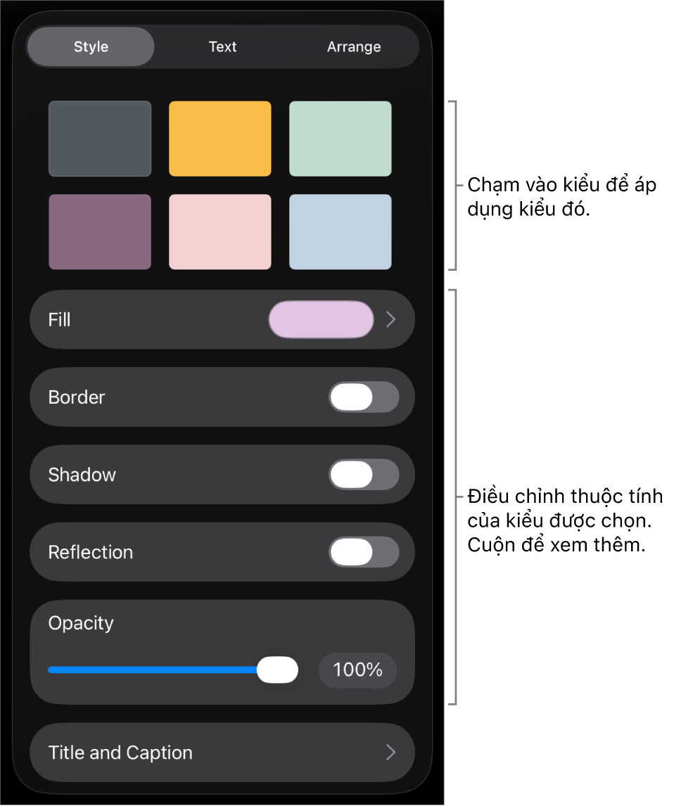 Tab Kiểu của menu Định dạng với các kiểu đối tượng ở đầu và các điều khiển ở bên dưới để thay đổi đường viền, bóng, phản chiếu và độ mờ.