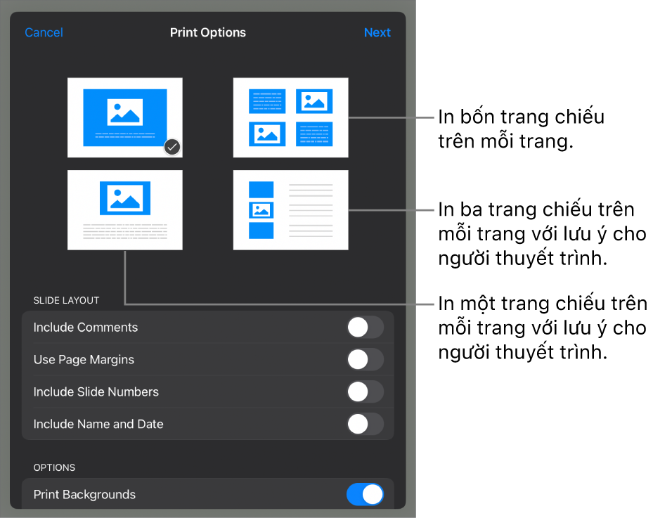 Tùy chọn bố cục in.