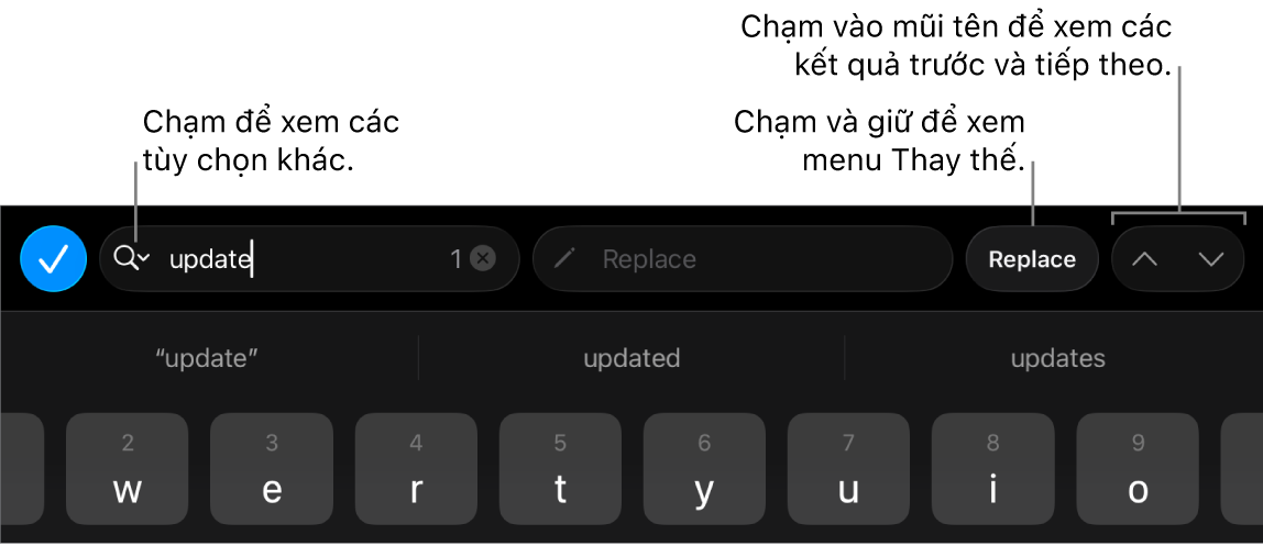 Các điều khiển Tìm & Thay thế bên trên bàn phím với chú thích đến các nút Tùy chọn tìm kiếm, Thay thế, Đi lên và Đi xuống.