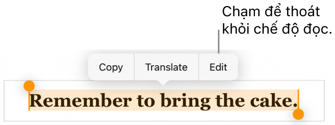 Một câu được chọn và phía trên câu đó là menu ngữ cảnh với các nút Sao chép và Sửa.