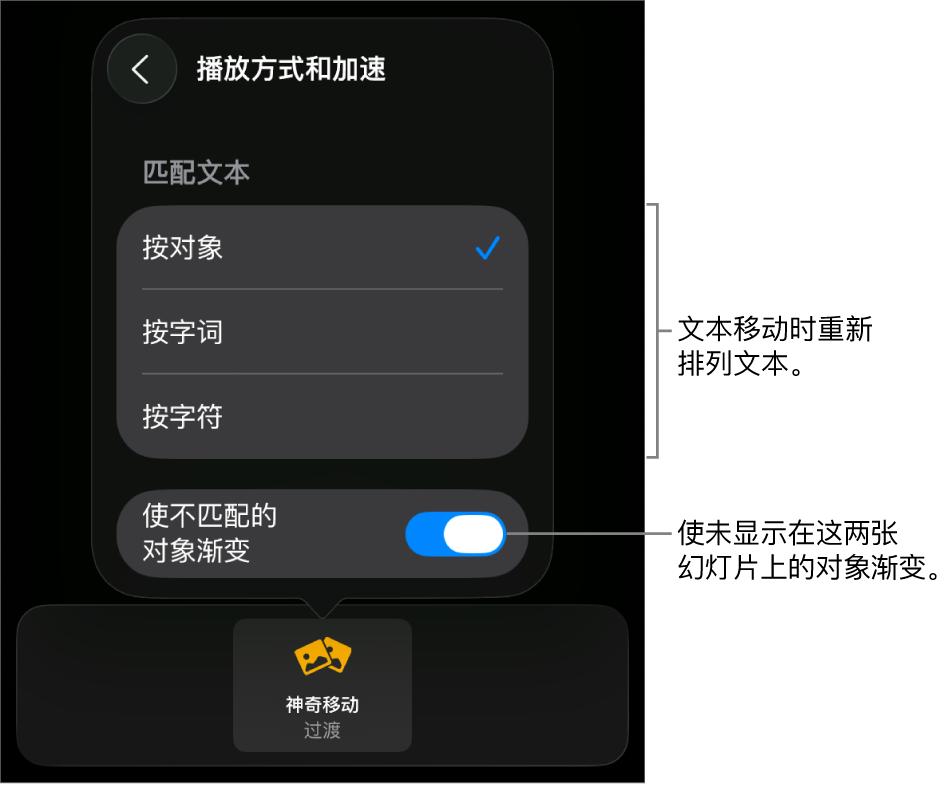 “加速”面板中“神奇移动”的播放方式和加速选项。