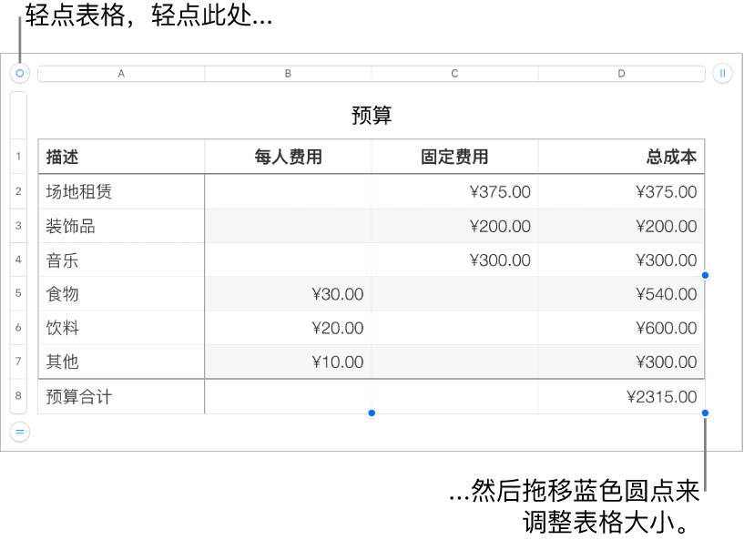 所选表格,含用于调整大小的蓝色圆点。