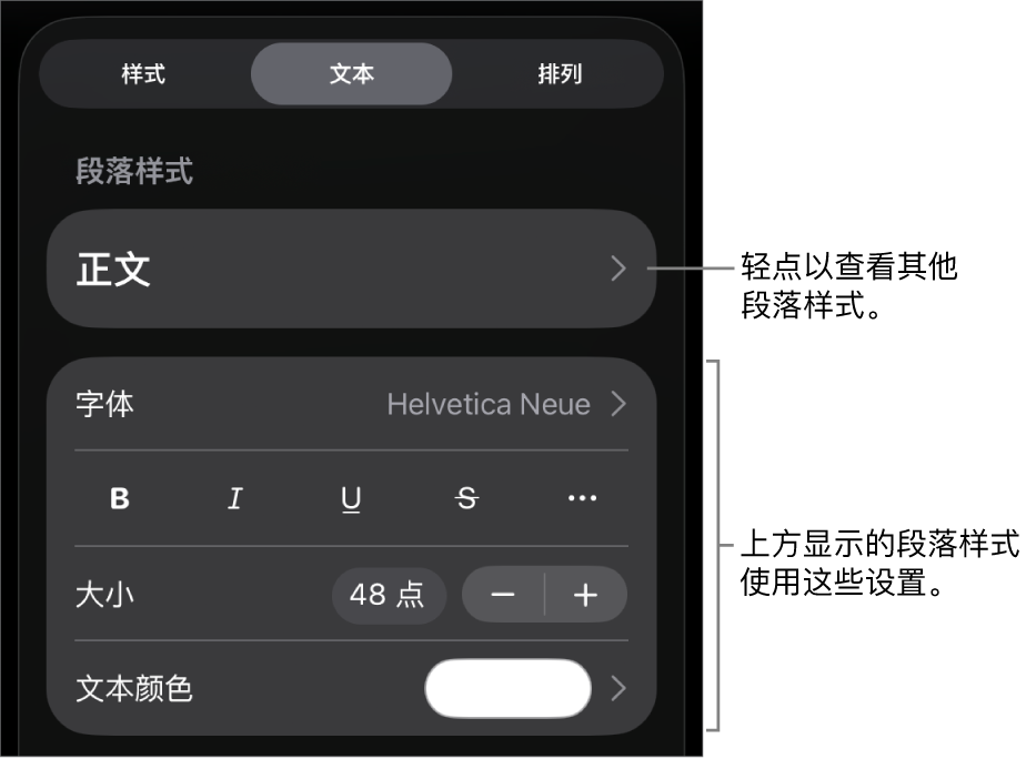 显示文本控制的“格式”菜单，用于设定段落和字符样式、字体、大小和颜色。