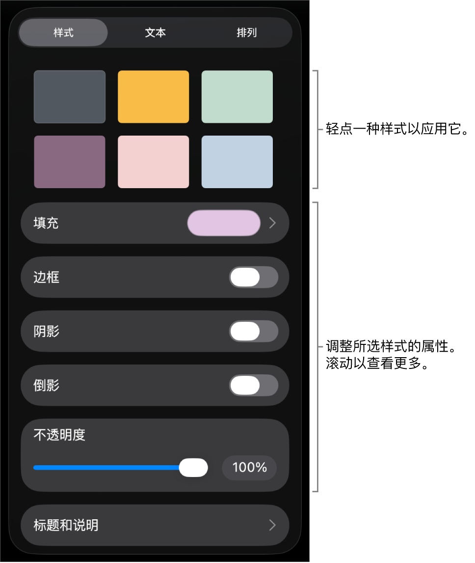 “格式”菜单中的“样式”标签，顶部为对象样式，样式下方为更改边框、阴影、倒影和不透明度的控制。