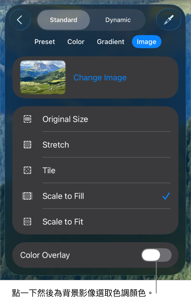 「背景」控制項目，其中一個影像已設定為投影片背景，且「色彩覆疊」控制項目位於底部。