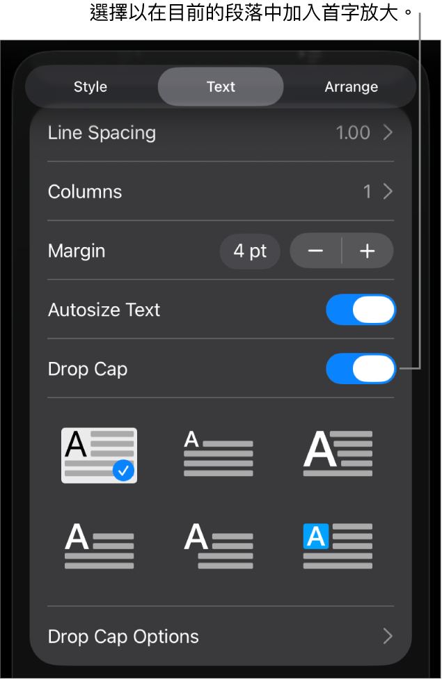「首字放大」控制項目位於「文字」選單。