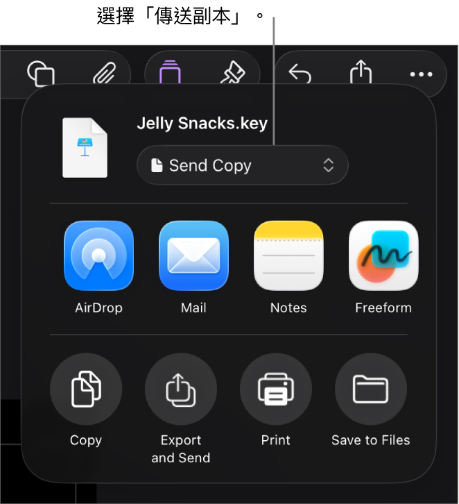 共享選單最上方的「傳送副本」已被選取。