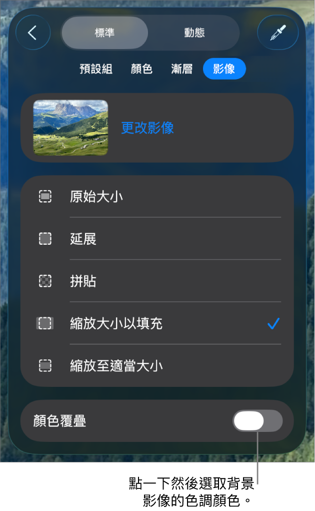 「背景」控制項目底部為設為幻燈片背景的影像和「顏色覆疊」控制項目。