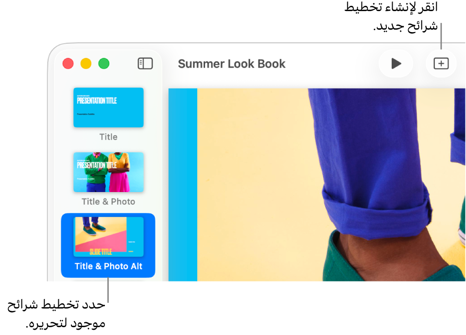 تخطيط شريحة يظهر في منطقة تخطيط الشريحة، مع ظهور الزر إضافة شريحة فوقه في شريط الأدوات.