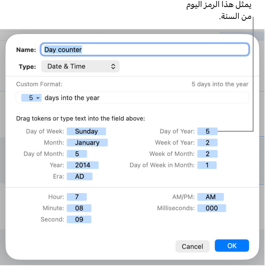 نافذة تنسيق خلية مخصصة مع عناصر تحكم لإنشاء تنسيق مخصص للتاريخ والوقت.