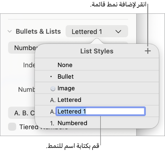 القائمة المنبثقة أنماط القائمة بها زر إضافة في الزاوية العلوية اليسرى واسم نمط عنصر نائب نصه محدد.