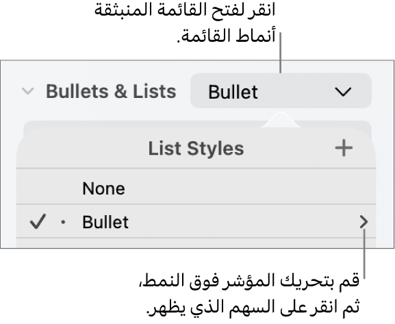 القائمة المنبثقة "أنماط القائمة" بها نمط واحد محدد وسهم على أقصى يساره.