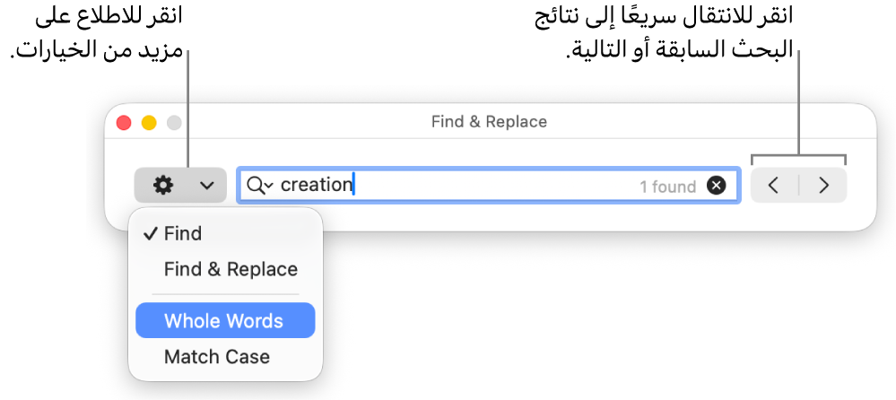 نافذة البحث والاستبدال بها قائمة منبثقة تعرض خيارات البحث، والبحث والاستبدال، والكلمات بالكامل، ومطابقة حالة الأحرف. تتيح لك الأسهم الموجودة على اليسار الانتقال إلى نتائج البحث السابقة أو التالية.