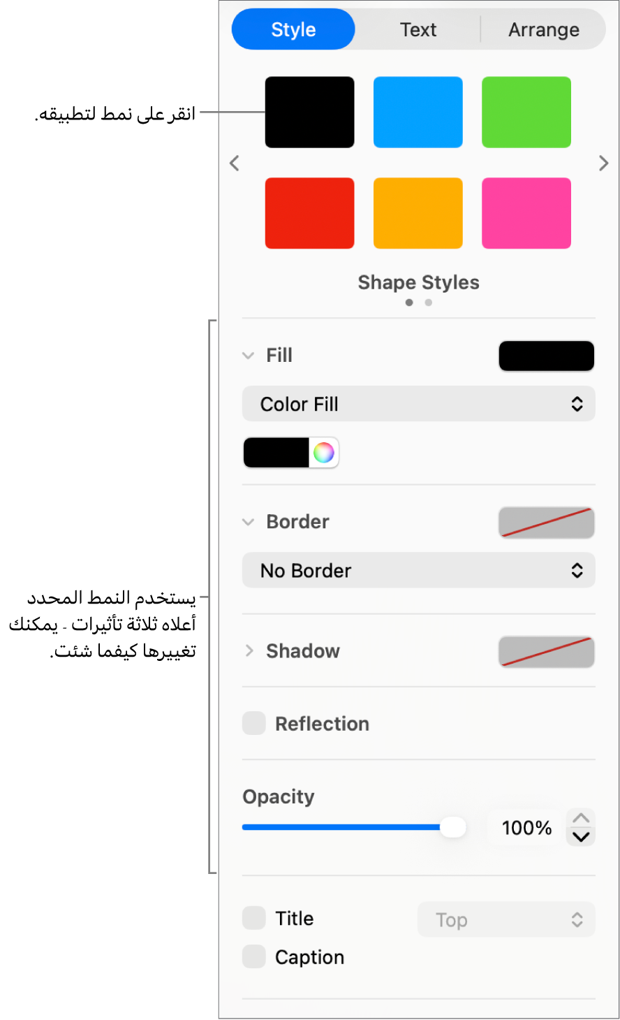 أنماط وخيارات الشكل في قسم التنسيق على الشريط الجانبي.