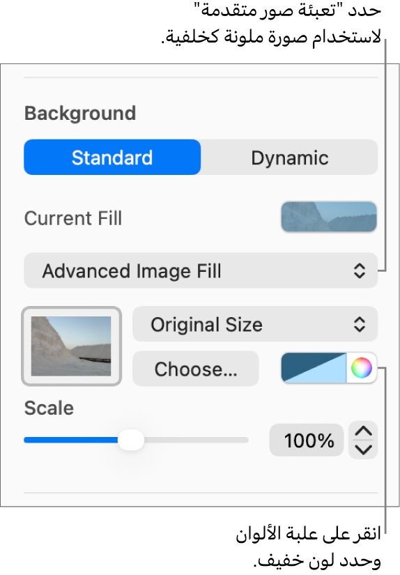 عناصر التحكم في الخلفية مع تعيين "تعبئة صورة متقدمة" ملونة كخلفية للشريحة.