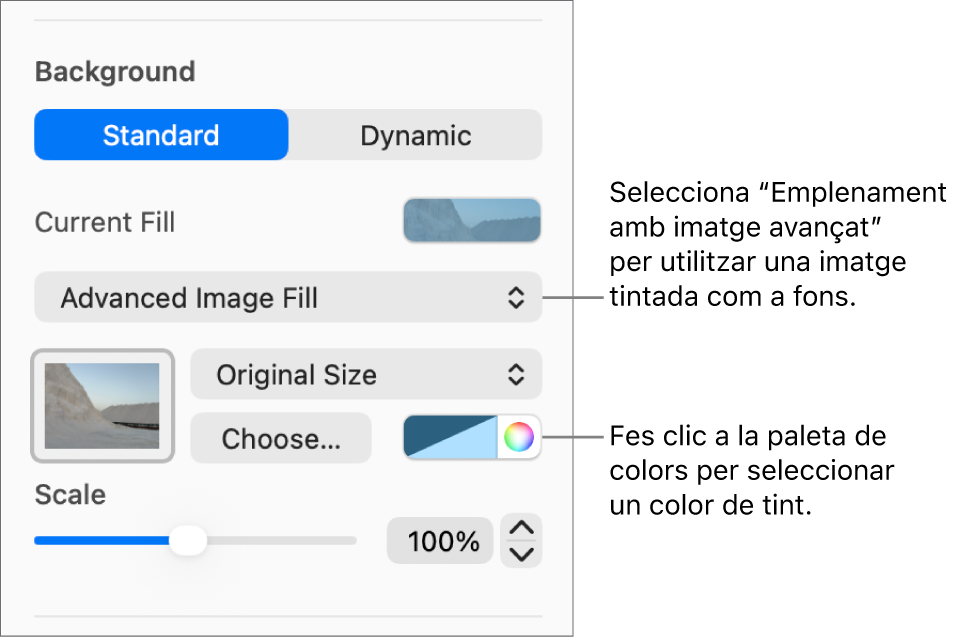 Els controls del fons i l’opció “Emplenament d’imatge avançat” per afegir un tint com a fons de diapositiva.