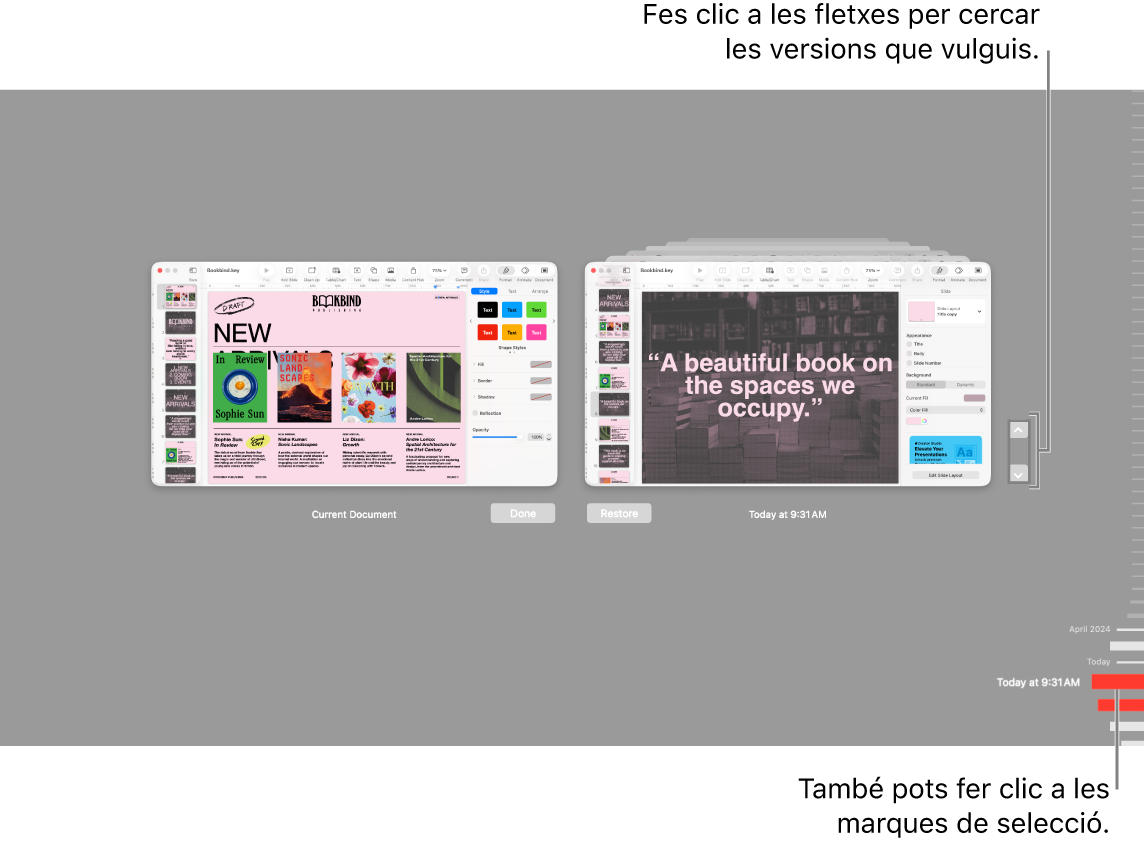 La vista “Reverteix”, amb marques de verificació i fletxes.