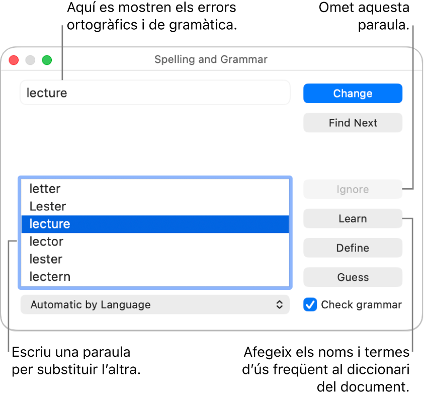 La finestra “Ortografia i gramàtica”.