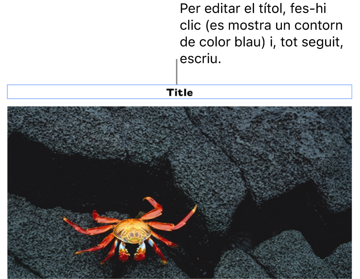 El marcador de posició de títol, Títol, a sota d’una foto amb un contorn blau al voltant del camp del peu per mostrar que està seleccionat.