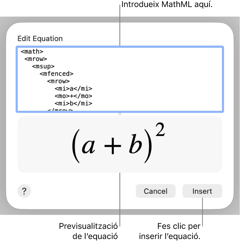 L’equació del pendent d’una línia al camp “Edita l’equació” i una previsualització de la fórmula a sota.