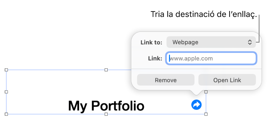 Controls de l’editor d’enllaços amb l’opció “Pàgina web” seleccionada i els botons “Elimina” i “Obre l’enllaç” situats a la part inferior.