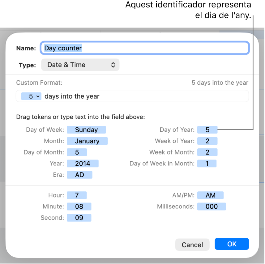 La finestra de format de cel·la personalitzat, amb controls per crear un format personalitzat de data i hora.