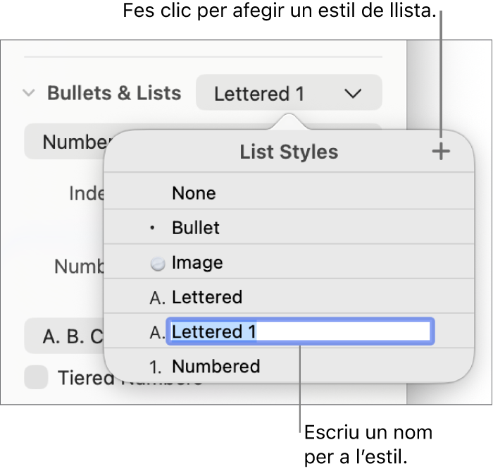 El menú emergent “Estils de llista”, amb un botó “Afegeix” a l’angle superior dret i un nom d’estil de marcador de posició amb el seu text seleccionat.