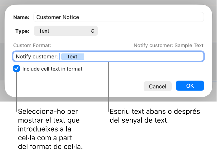 Format personalitzat de cel·la de text.