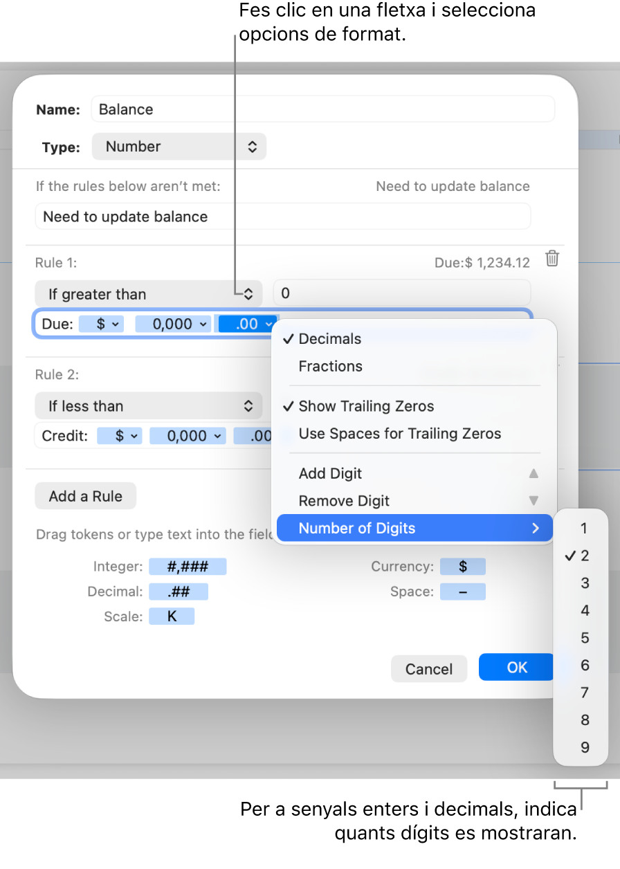 La finestra de format de cel·la personalitzat, amb controls per crear un format numèric personalitzat.