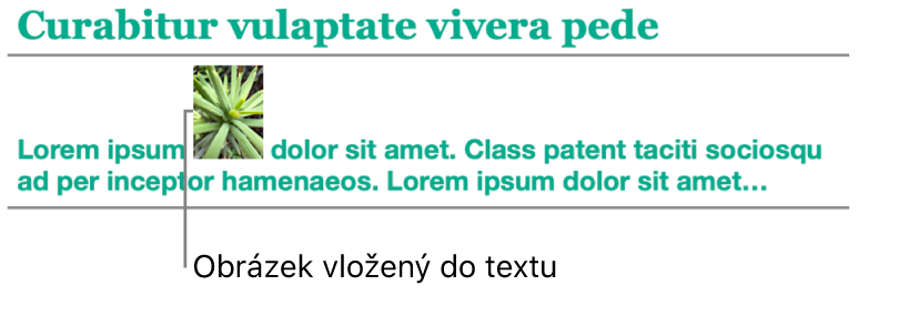Obrázek umístěný v textu jako vložený objekt