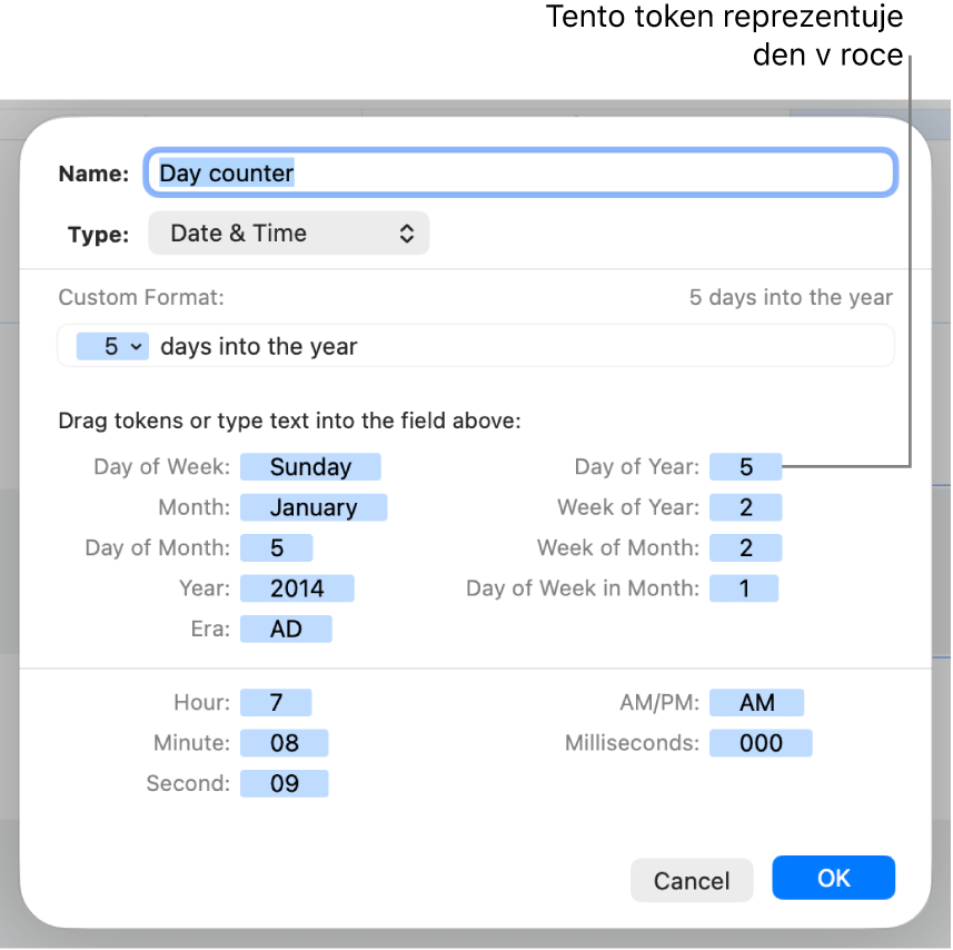 Okno vlastního formátu buněk s ovládacími prvky pro vytvoření vlastního formátu data a času