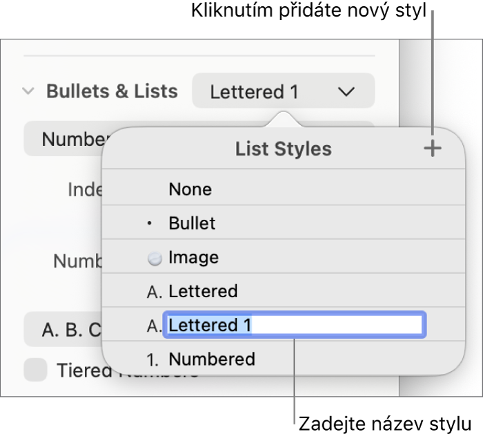 Nabídka Styly seznamů s tlačítkem Přidat v pravém horním rohu a maketou názvu stylu s vybraným textem