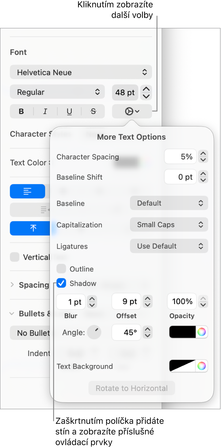 Otevřené Pokročilé volby se zaškrtnutým políčkem Stín a ovládacími prvky pro nastavení rozostření, posunutí, neprůhlednosti a barev