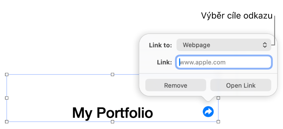 Ovládací prvky editoru odkazů s vybranou volbou Webová stránka a tlačítky Odstranit a Otevřít odkaz v dolní části.