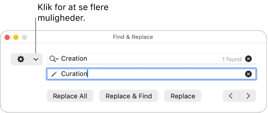 Vinduet Find & erstat med billedforklaring til lokalmenuen, der viser flere muligheder.