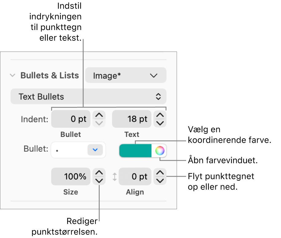 Punkter & lister med billedforklaringer til betjeningsmulighederne til indrykning af punkttegn og tekst, farve og størrelse på punkttegn og justering.