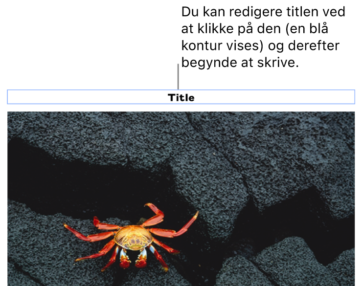 Eksempeltitlen “Titel” vises under et foto, og en blå kontur rundt om feltet med titlen viser, at det er valgt.