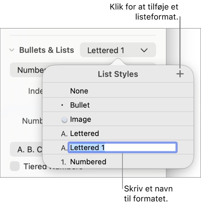Lokalmenuen Listeformater med knappen Tilføj i øverste højre hjørne og et eksempel på et formatnavn med teksten valgt.