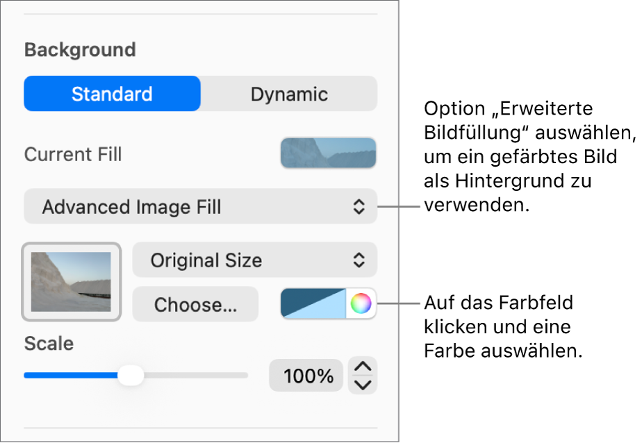 Die Steuerelemente „Hintergrund“ mit farbiger Option „Erweiterte Bildfüllung“, die als Folienhintergrund festgelegt ist.
