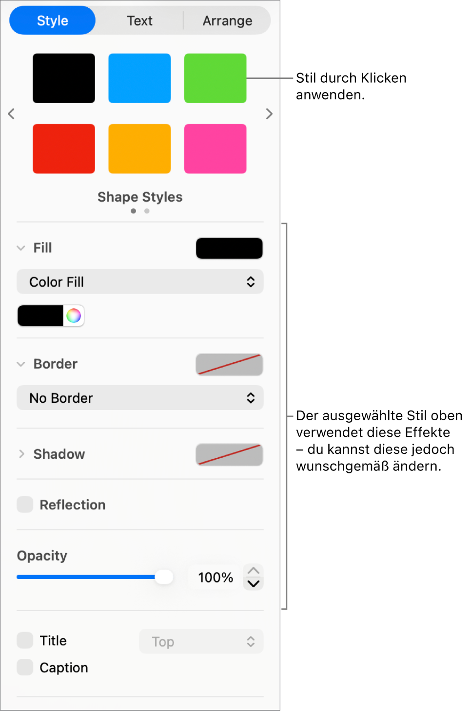Formstile und -optionen im Bereich „Format“ der Seitenleiste