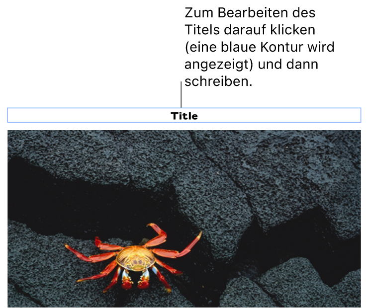 Der Platzhaltertitel „Titel“ erscheint unter einem Foto, ein blauer Rahmen um das Titelfeld gibt an, dass es ausgewählt ist.