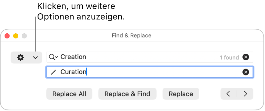 Das Fenster „Suchen & Ersetzen“ mit einer Beschreibung zum Einblendmenü, das weitere Optionen anzeigt.