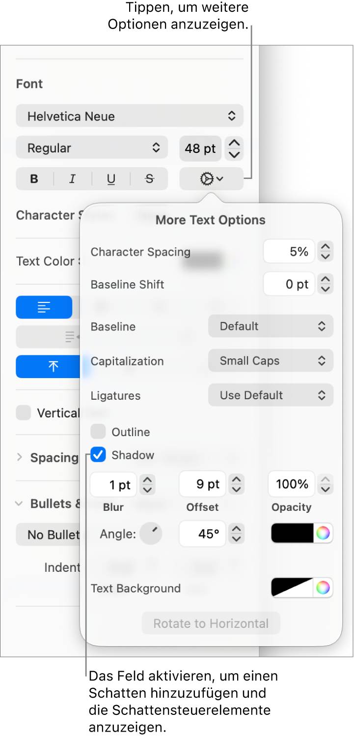 Der geöffnete Bereich „Erweiterte Optionen“ mit der aktivierten Option „Schatten“ und Steuerelementen zum Konfigurieren von „Weichzeichnen“, „Versatz“, „Deckkraft“ und „Winkel“ sowie der Farbe.