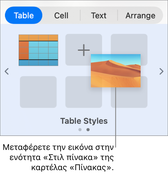 Μεταφορά εικόνας στα στιλ πινάκων για τη δημιουργία νέου στιλ.