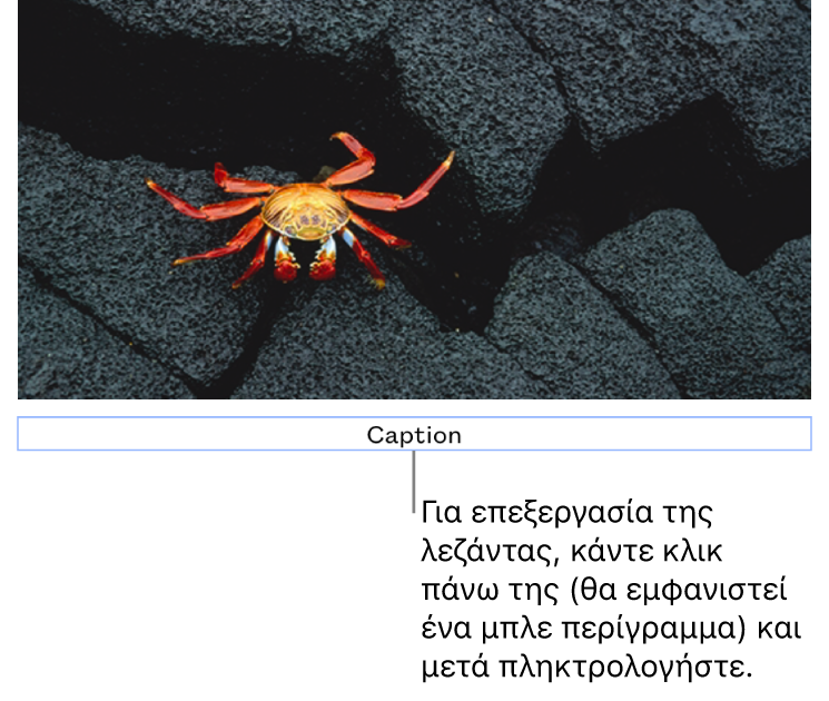 Η λεζάντα δεσμευτικού θέσης, «Λεζάντα», εμφανίζεται κάτω από μια φωτογραφία. Μια μπλε περιγράμμιση γύρω από το πεδίο της λεζάντας δείχνει ότι είναι επιλεγμένη.